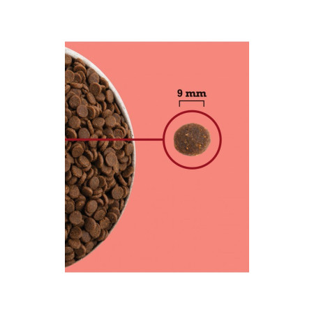 ACANA Aukščiausio baltymų kiekio vidaus katėms - sausas kačių maistas - 4,5kg