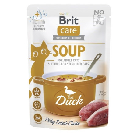 BRIT Care Soup su antis - sriuba katui - 75g