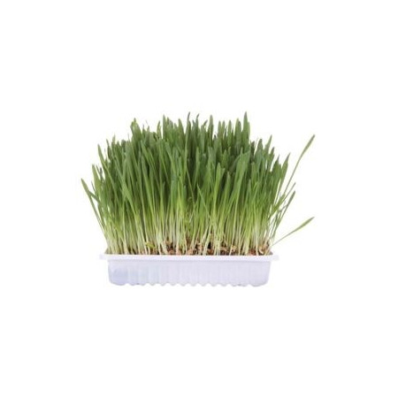 TRIXIE 4235 šuns arba katės gardėsis - 100 g