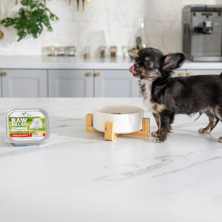 RAW PALEO Pate Mini Šuniukams Su Jautiena - šlapias maistas - 150 g