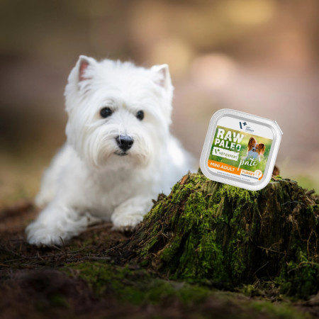 RAW PALEO Pate Mini Suaugusiems Šunims Su Jautiena - šlapias maistas - 150 g