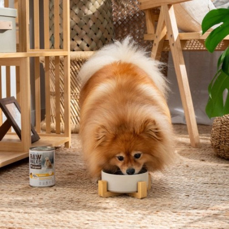 RAW PALEO Suaugusiems Šunims Monoproteinas Su Kalakutiena - šlapias maistas - 800 g