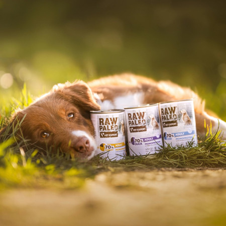 RAW PALEO Suaugusiųjų Monoproteinas Antis - šlapias šunų maistas - 400g