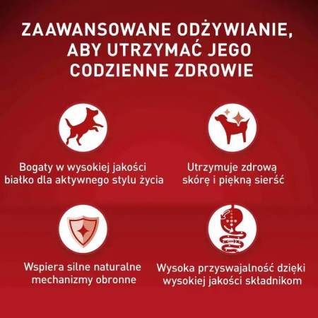 PURINA One Mini/Small Active Jautiena - drėgnas ėdalas šunims - 85g