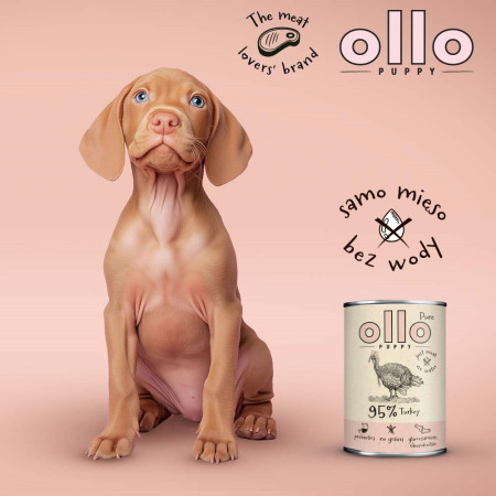 OLLO Puppy Pure šlapias maistas su kalakutiena - 400g