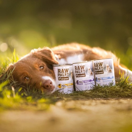 RAW PALEO Suaugusiems Monoproteinas Kalakutiena - šlapias šunų maistas - 400 g