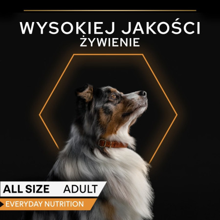 PURINA Pro Plan Kasdienė mityba Visiems dydžiams Suaugusiųjų Kalakutienos želė - drėgnas ėdalas šunims - 400g