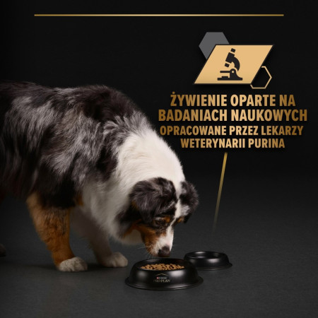 PURINA Pro Plan Kasdienė mityba Visiems dydžiams Suaugusiųjų Kalakutienos želė - drėgnas ėdalas šunims - 400g