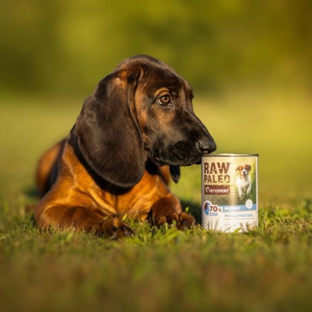 RAW PALEO Šuniukams Monoproteinas Menkė - šlapias maistas - 400g