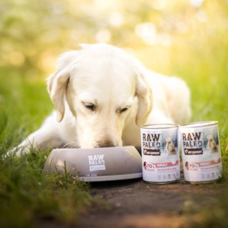 RAW PALEO Suaugusiems Monoproteinas Kiauliena - šlapias šunų maistas - 400 g