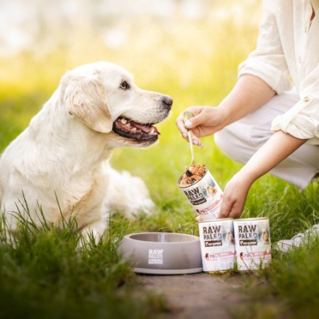 RAW PALEO Suaugusiems Monoproteinas Kiauliena - šlapias šunų maistas - 400 g