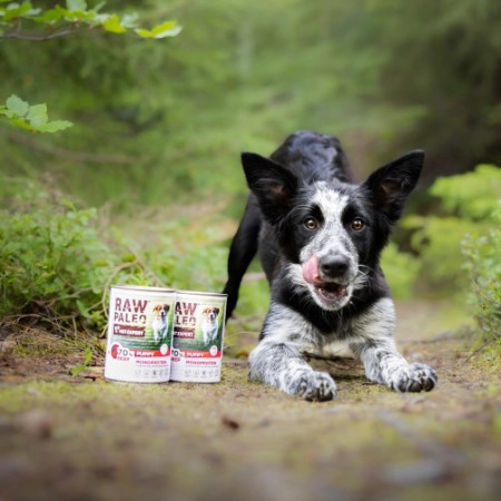 RAW PALEO Šuniukams Monoproteinas jautiena - šlapias maistas - 400 g