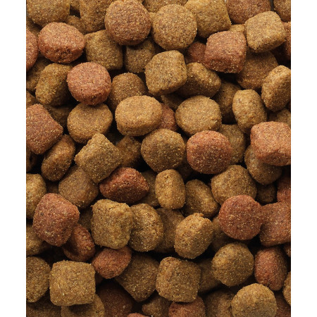 VERSELE-LAGA Classic Duo Krok šunų maistas - 20 kg