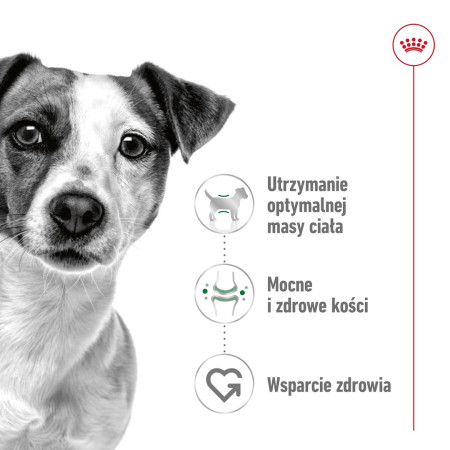 ROYAL CANIN Suaugusių Šunų Maistas Mini S - 4kg