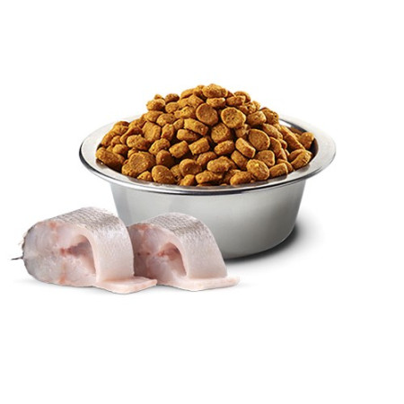 FARMINA N&D Jūros lydeka, Spirulina ir Krapai Suaugusiems Mini - sausas maistas šunims - 2kg