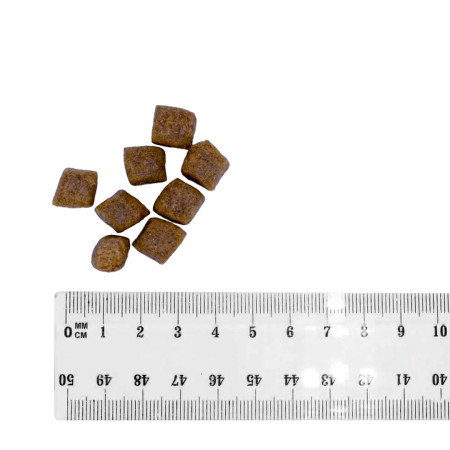 BULT Lašiša su upėtakiu - sausas maistas šunims - 3kg