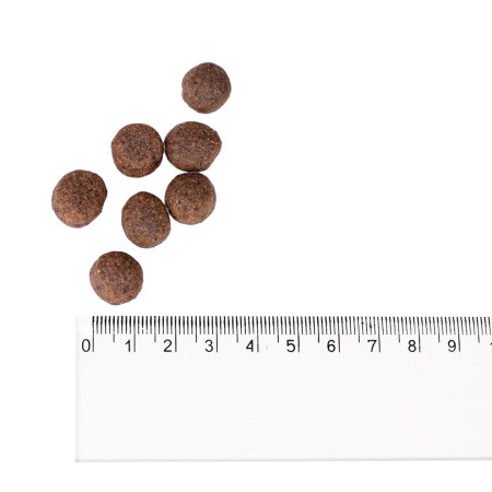 BULT Turkijos sausas maistas šunims - 3kg