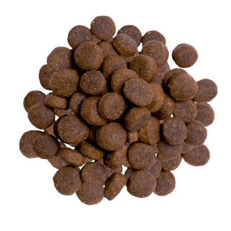 BULT Turkijos sausas maistas šunims - 3kg