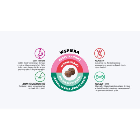 JOHN DOG Good Form Suaugusiųjų vištiena su jautiena - sausas maistas šunims - 12 kg