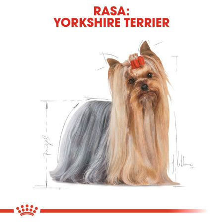 Royal Canin Yorkshire Terrier - sausas maistas šunims - 0,5 kg