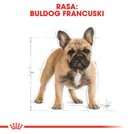 Royal Canin BHN Prancūzų Buldogo Suaugusiųjų maistas - 9kg
