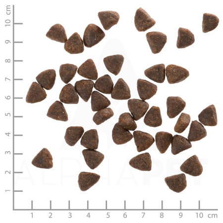 WOLFSBLUT Wild Duck su bulvėmis - sausas maistas šunims - 12,5 kg