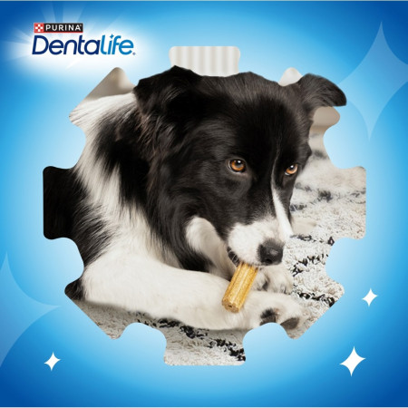 PURINA Dentalife Mini - skanėstas šuniui - 69g