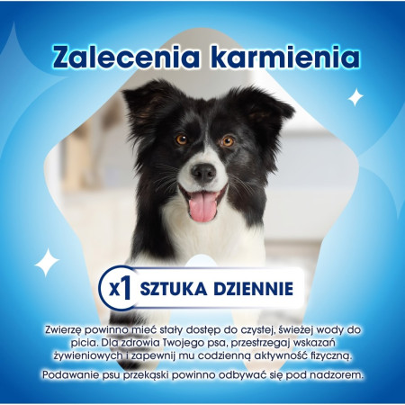 PURINA Dentalife Mini - skanėstas šuniui - 69g