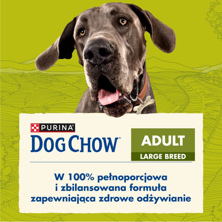Purina DOG CHOW Large Breed Adult 14 kg Suaugusių Kalakutiena