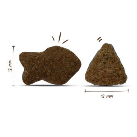 BOSCH Suaugusiųjų Lašiša ir Bulvės - sausas maistas šunims - 3 kg