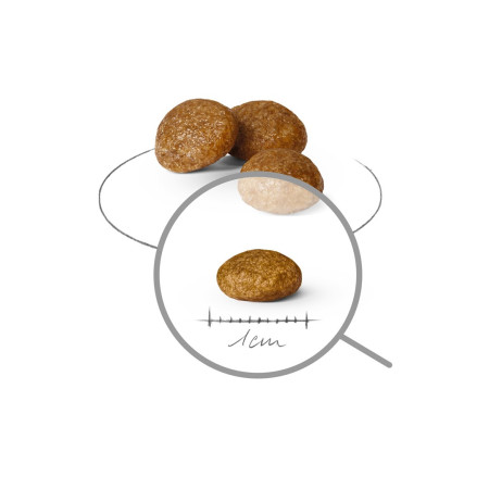 ROYAL CANIN Suaugusiųjų x-small SHN - sausas maistas šunims - 1,5 kg