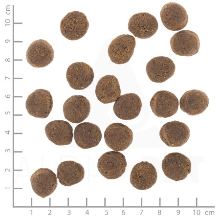 WOLFSBLUT VetLine Gastrointestinal Antiena - sausas maistas šunims - 2kg