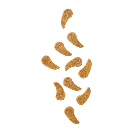 JOHN DOG Džiovinti kalakutų skanėstai šunims - 80g