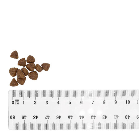 BULT Kaciena ir kalakutiena šuniukams - 12kg