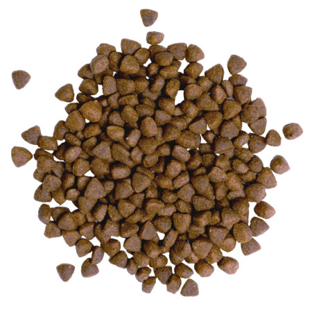 BULT Kaciena ir kalakutiena šuniukams - 12kg