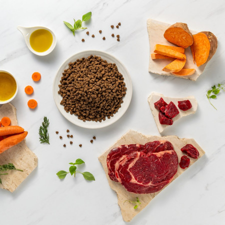 RAW PALEO Ultra Mini Puppy Beef - sausas maistas mažų veislių šuniukams - 2 kg