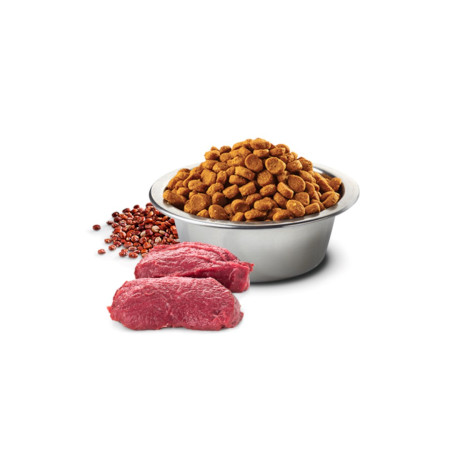 FARMINA N&D Quinoa Dog Skin&Coat Suvenison ir Kokosais Suaugusiems - sausas ėdalas šunims - 7 kg