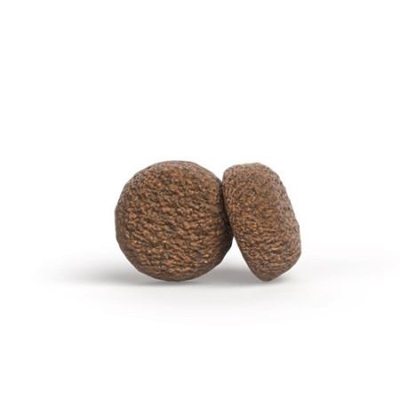 JOSERA Adult Mini Chicken & Rice sausas maistas šunims - 900g