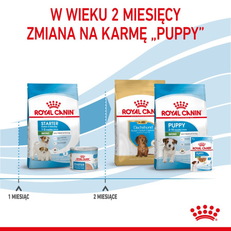 ROYAL CANIN SHN Mini Starter Mama & Šuniukas - sausas maistas šunims - 4 kg