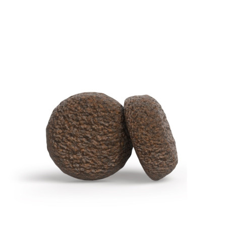 Josera YoungStar Sausas Maistas Šunims - 12,5kg