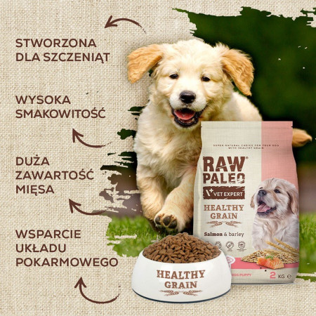 VET EXPERT Raw Paleo Healthy Grain Puppy Lašiša ir miežiai - sausas maistas - 2 kg