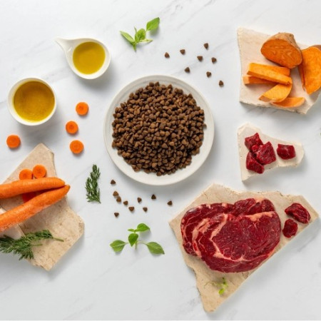 RAW PALEO Ultra Medium&Large Puppy Beef - sausas maistas šuniukams - 2 kg