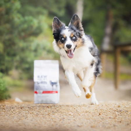 RAW PALEO Ultra Vidutinio ir Didelio Dydžio Šuniukams Jautiena - sausas maistas šuniukams - 10kg