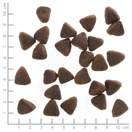 WOLFSBLUT Jack Rabbit - sausas maistas šunims - 12,5kg