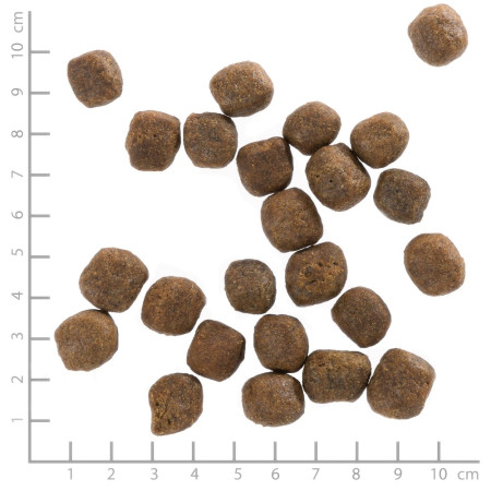 WOLFSBLUT Šalta Upė Trūka su saldžiomis bulvėmis - sausas maistas šunims - 12,5kg