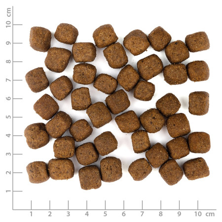 WOLFSBLUT Pilkasis Kalnų Ožys su saldžiomis bulvėmis - sausas maistas šunims - 12,5kg