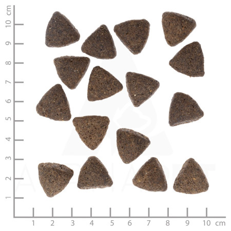 WOLFSBLUT Platus Lygumas Didelių Veislių Arklių su saldžiomis bulvėmis - sausas maistas šunims - 12,5kg
