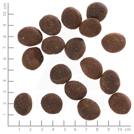 WOLFSBLUT Polar Night Rūkyta elniena su saldžiosiomis bulvėmis - sausas maistas šunims - 12,5kg