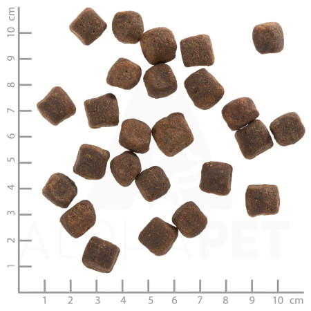 WOLFSBLUT Dark Forest - elnienos sausas maistas šunims su saldžiosiomis bulvėmis - 12,5kg