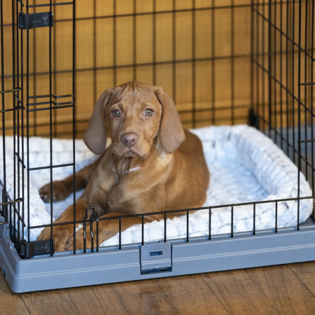 FERPLAST Superior 90 - narvas šunims